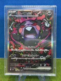ポケモンカードゲーム モルペコex SAR Y55 - メルカリ