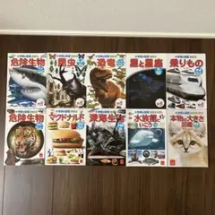 ハッピーセット　Neo図鑑　10冊セット