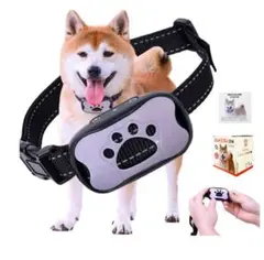 Item thumbnail for item 6a922977-fa49-4fe3-ae08-150964a90dad