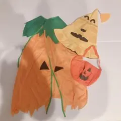 最終値下げ❣️子供用　ハロウィンセット　コスプレ かぼちゃ パンプキン バッグ
