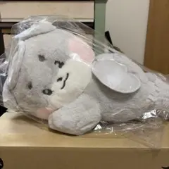 希少】ジーンちゃん ぬいぐるみ(にじいろジーン) - メルカリ