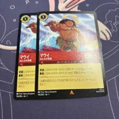 ロルカナ マウイ R 4枚セット - メルカリ