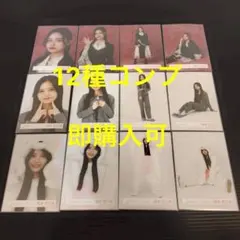浅井恋乃未　櫻坂46 ドレス ルームウェア どうぶつ着ぐるみ　生写真 コンプ