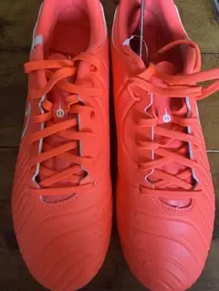 NIKE レジェンド 10 アカデミー HG DV4339-800のサムネイル