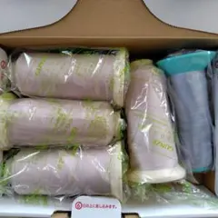 Item thumbnail for item 1195a99f-448a-4cff-8410-45bf60845bf7