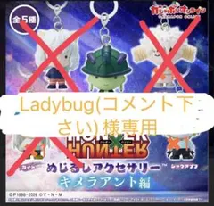 Ladybug(コメント下さい)様専用