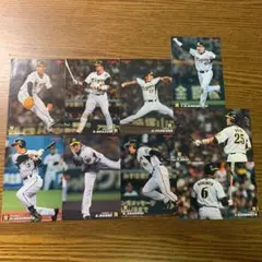 プロ野球チップスカード プロ野球カード