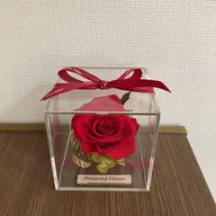 ROSE GALLERY プリザーブドフラワー　バラ　レッド