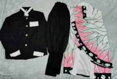 胡蝶しのぶコスプレセット❤︎