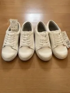 Item thumbnail for item 8d70da9e-2851-4655-8a39-9a6112750c08