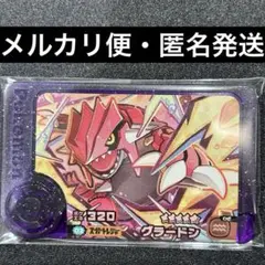ポケモン　フレンダ　ベストタッグ2弾　グラードン　地面　じめん