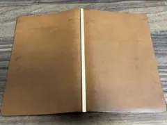 Item thumbnail for item 3d44288c-a7af-4dec-88a5-1c382d6ea108