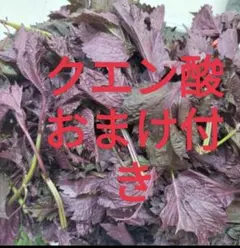 えっちゃん様専用ページ1KG葉っぱのみ