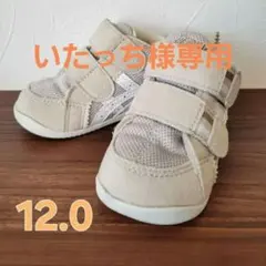 【値下げしました】asics スクスク　ファーストシューズ 12.0