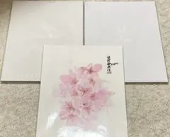 SnowMan パンフレット 3冊セット