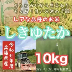 岡山県吉備中央町 こしひかり 14kg 2026年2月精米 - メルカリ