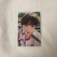 &TEAM 五月雨 HARUA ハルア トレカ