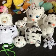 ホワイトタイガー ぬいぐるみセット