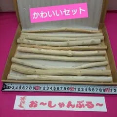 流木セットno.391