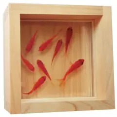 金魚 アート アクリル プレゼント ハート グリーン 緑 赤 レッド 木 檜 金魚 アート アクリル プレゼント ハート グリーン 緑 赤 レッド 木 檜