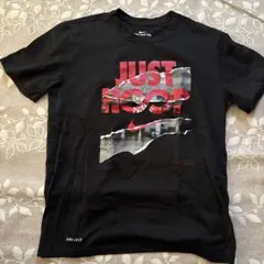Nike THE NIKE TEE Lサイズ Tシャツ ブラック/レッド