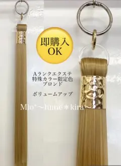 即購入OK ポニーテールリング　リング付きエクステ　Aランク特殊カラー限定色のサムネイル