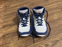 Item thumbnail for item 5fbb9723-2f58-431b-aac2-350f2579bf0b