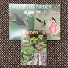 BIRDER 雑誌 2021年　3冊セット 美品