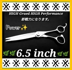 Item thumbnail for item 6a767196-e6b7-4fba-8b90-b5516f2201c3