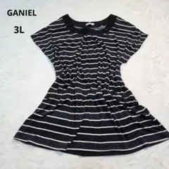 美品 GANIEL (大きいサイズ) 3L ボーダー 半袖 チュニック 春 夏