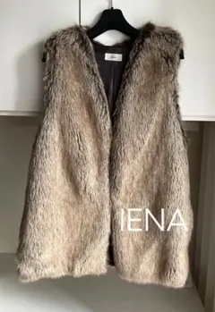 2025年最新】フェイクファーベスト ienaの人気アイテム - メルカリ