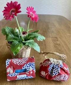 Item thumbnail for item 45496045-9728-4834-bf01-0ca5f77f8261