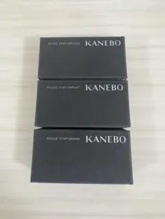 KANEBO ルージュスタードラマ V02 D204 B102 サンプルのサムネイル