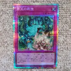 2026年最新】ドミナススパイラルの人気アイテム - メルカリ
