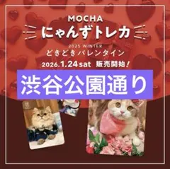 猫カフェmocha にゃんずトレカ　渋谷公園通り店のサムネイル
