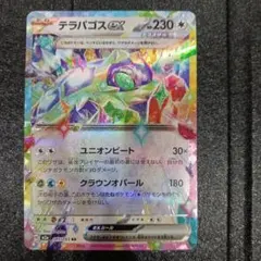 テラパゴスEX RR　値下可