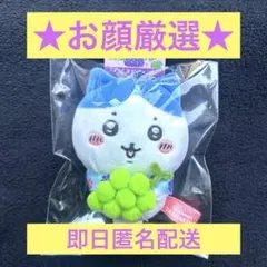 【即日発送】山梨限定 ご当地ちいかわ ハチワレ ぶどう 【匿名取引】