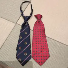 Item thumbnail for item 75a91c77-1095-4069-b4c2-67ae2bd6c81a