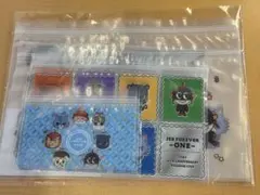 三代目　JSB FOREVER ～ONE～ JSB3ジッパーバッグ　10枚セット