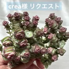 crea様 リクエスト 4点 まとめ商品