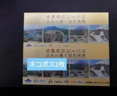 2026年最新】富士急ハイランド フリーパス ペアの人気アイテム