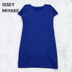 ISSEY MIYAKE PLEATS PLEASE ミニワンピース チュニックのサムネイル