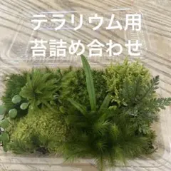 断捨離生活中！様 リクエスト 2点 まとめ商品