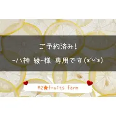 【ꕤ516】不知火デコ【訳あり品☆加工原料】10kg 熊本みかん