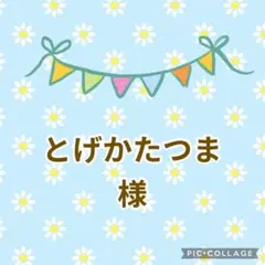 とげかたつま様 ガーゼハンカチ　リクエスト 2点 まとめ商品