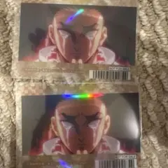 鬼滅の刃 悲鳴嶼行冥 ホロカード 2枚セット