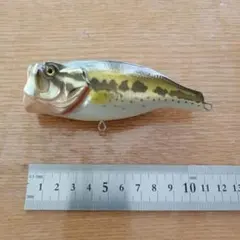 2026年最新】lunkers clubの人気アイテム - メルカリ