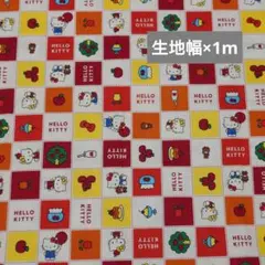 レトロ柄 Hello Kitty キティちゃん ハギレ 生地 布