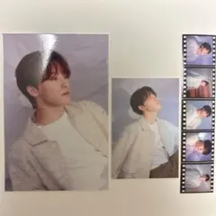 ハイブインサイト　ディノ