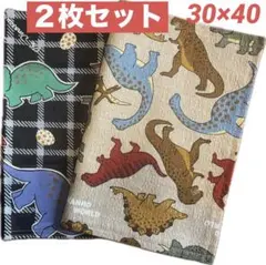 ⭐️お買い得‼️⭐★可愛い恐竜柄★ 30×40ランチョンマット　ベージュ黒　男の子